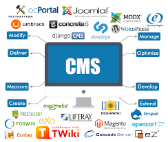 Why CMS controls the Internet  Industry