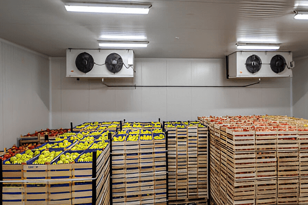 vegetable cold room installation in kenya