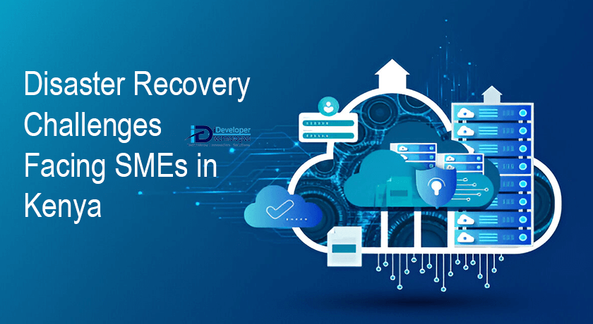 Disaster Recovery SMEs